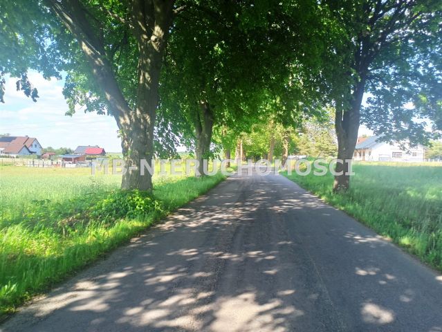 Działka budowlana Królikowo. Zdjęcie 9