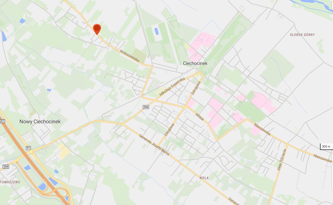 dom wolnostojący, 7 pokoi Wołuszewo, Wołuszewska/Wołuszewo. Zdjęcie 9