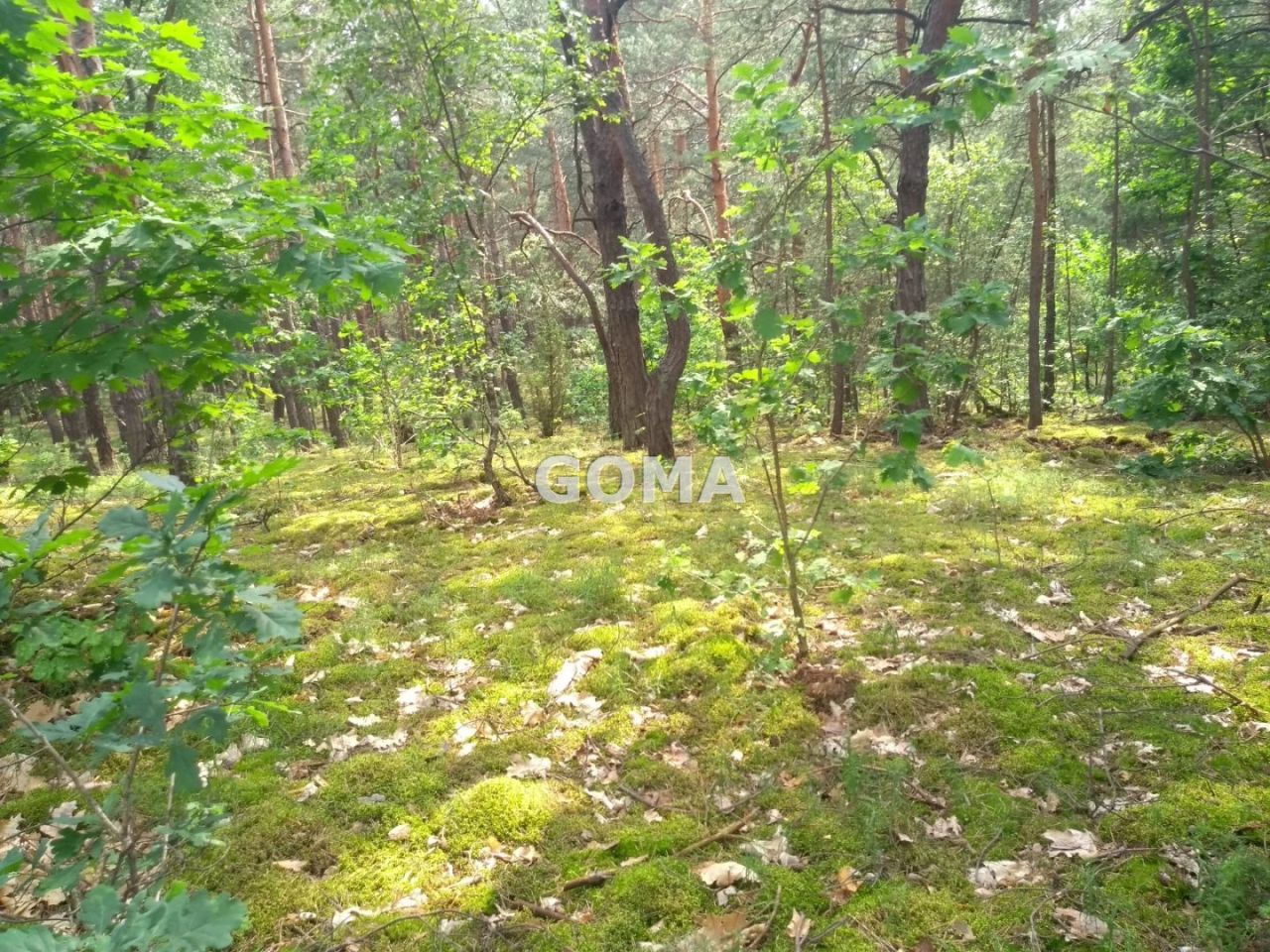 Działka budowlana Warszawa Wesoła. Zdjęcie 3