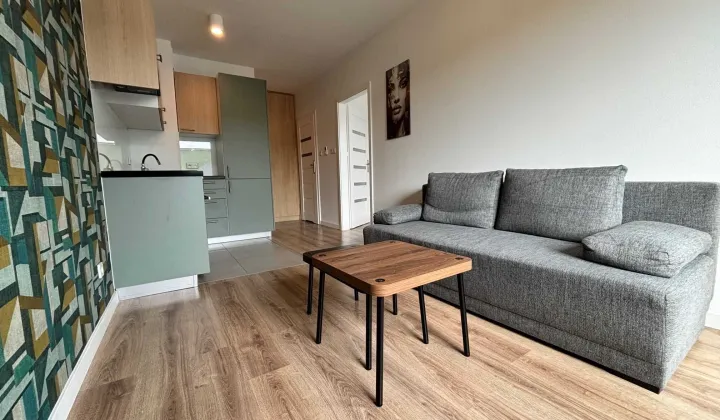 Mieszkanie 2-pokojowe Częstochowa Parkitka, ul. Okulickiego