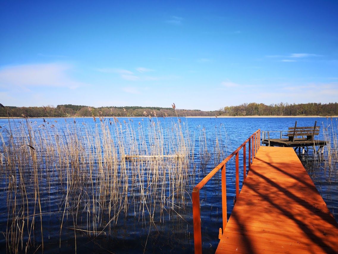 Działka rekreacyjna Jelenin. Zdjęcie 3