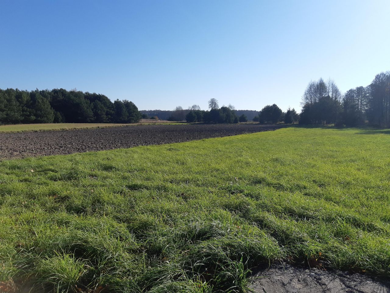 Działka budowlana Prostyń. Zdjęcie 6