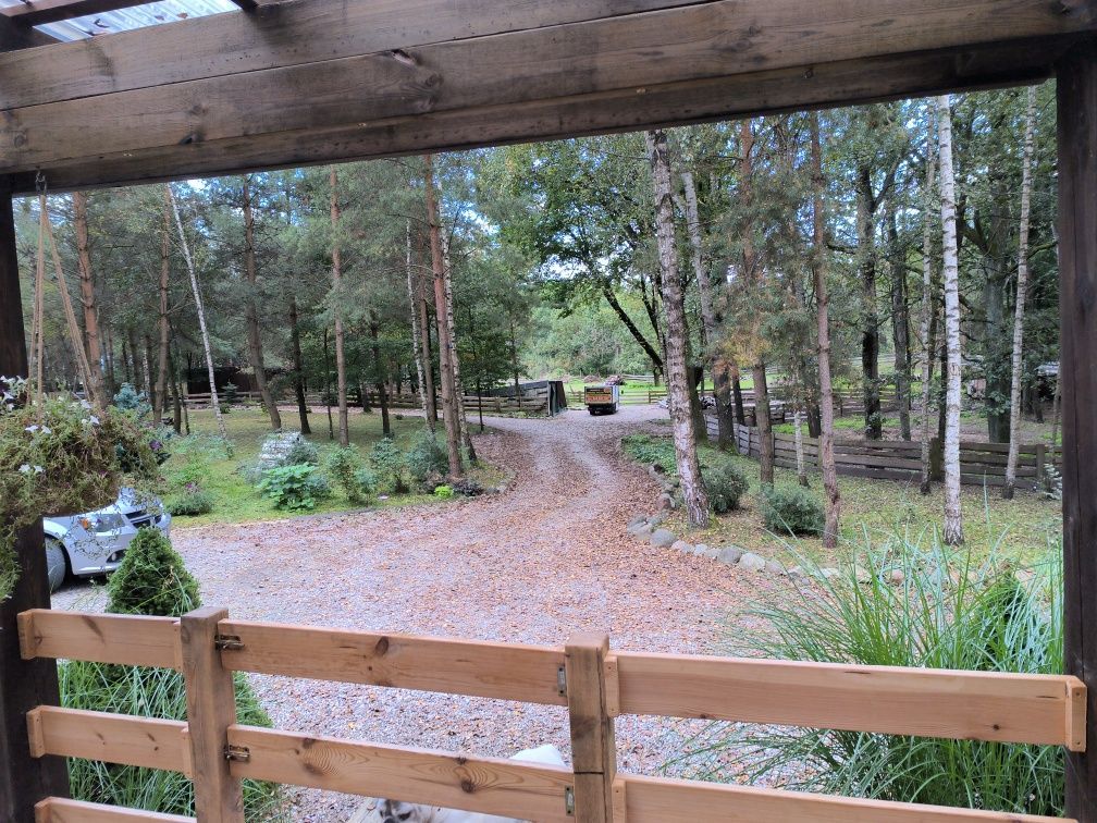 Działka rolno-budowlana Strzałkowo. Zdjęcie 2