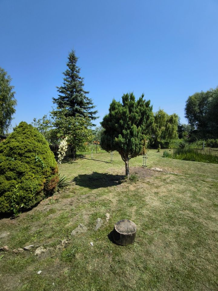 Działka rod Chełm. Zdjęcie 8