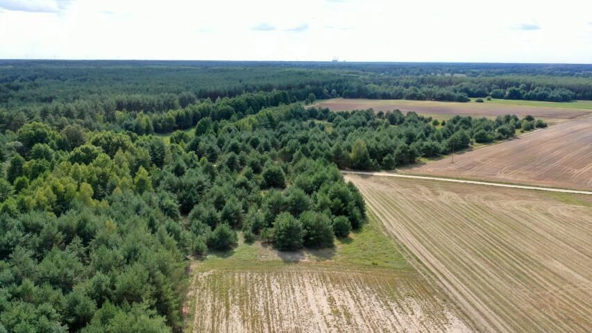 Działka rolna Osetno. Zdjęcie 12