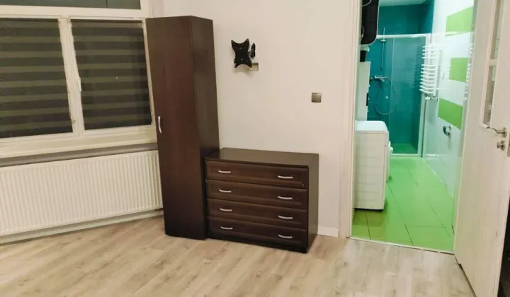 Mieszkanie 1-pokojowe Bydgoszcz Bocianowo, ul. Wileńska