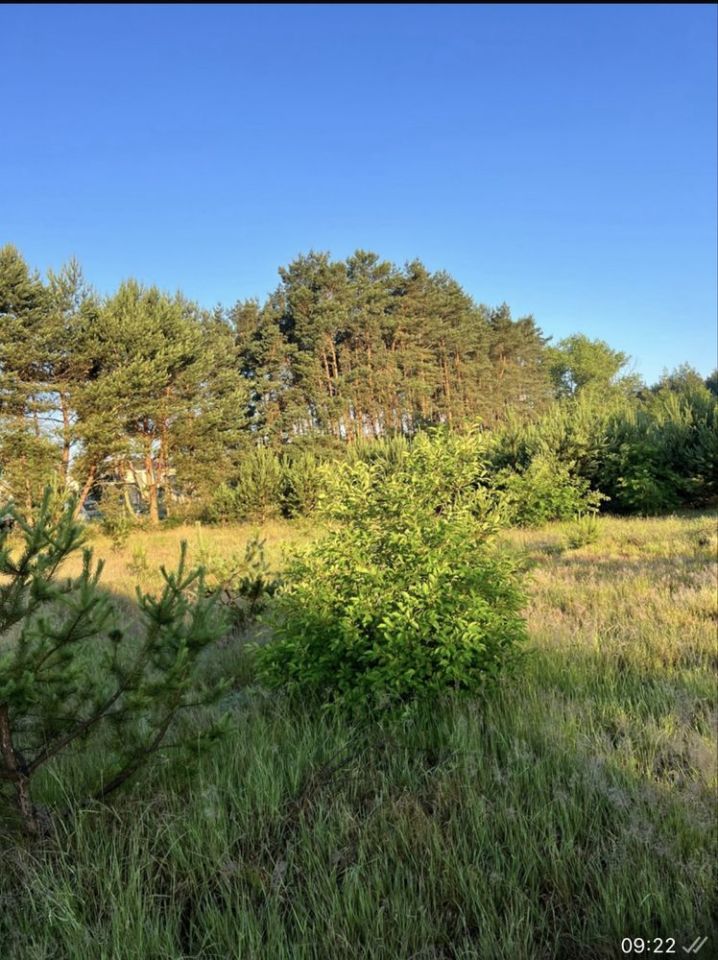 Działka budowlana Leśniów Wielki. Zdjęcie 7