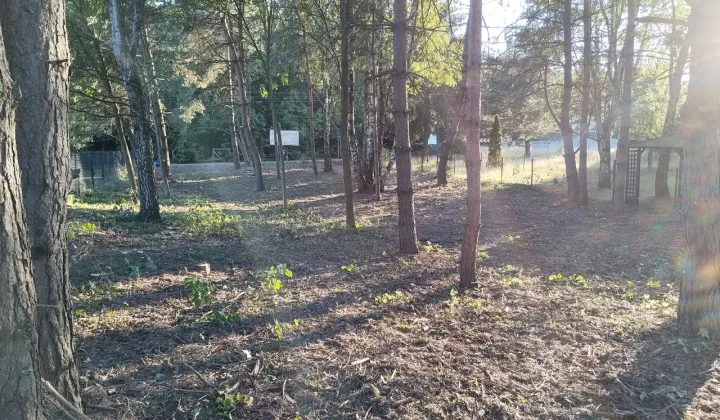 Działka budowlana Lgoczanka