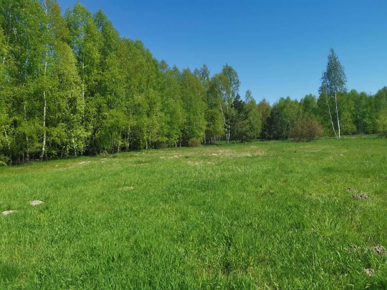 Działka rekreacyjna Wola Korybutowa Druga. Zdjęcie 4