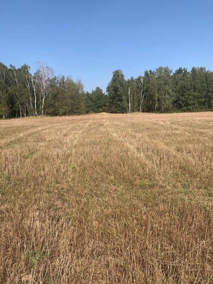 Działka rolna Głazów. Zdjęcie 3