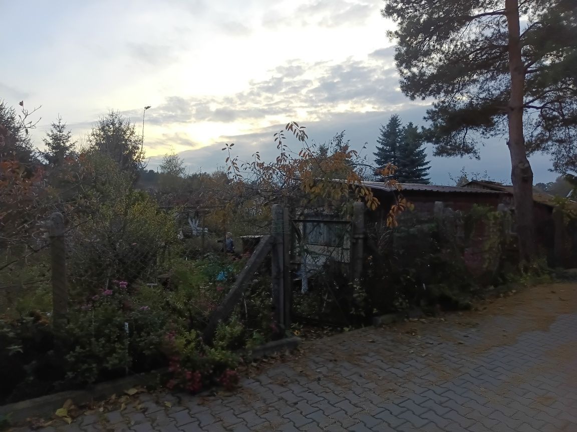 Działka rod Szczecin Klucz. Zdjęcie 4