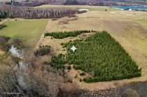 Działka budowlana Boguszewo. Zdjęcie 4