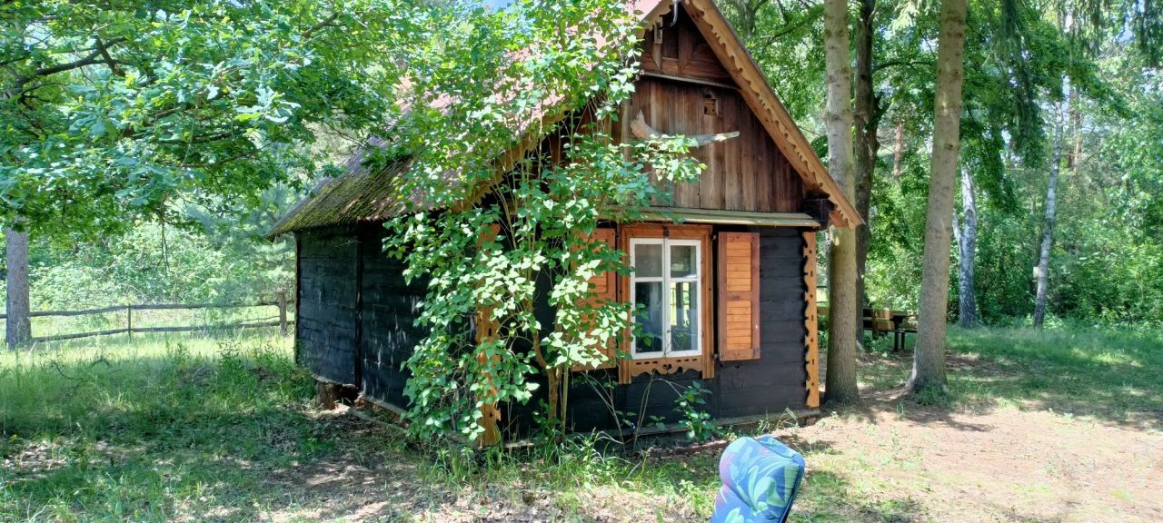 Działka rekreacyjna Zambski Kościelne. Zdjęcie 5