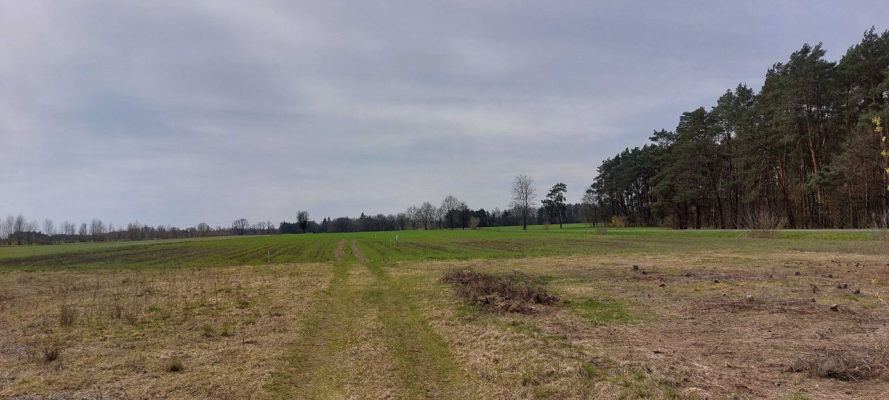 Działka budowlana Mierzączka Duża. Zdjęcie 7