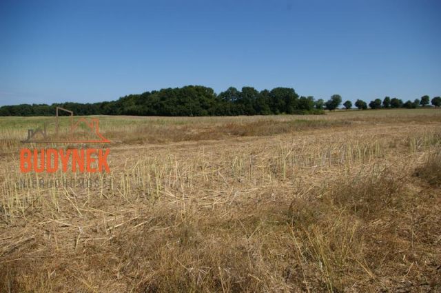 Działka budowlana Kopnica. Zdjęcie 13