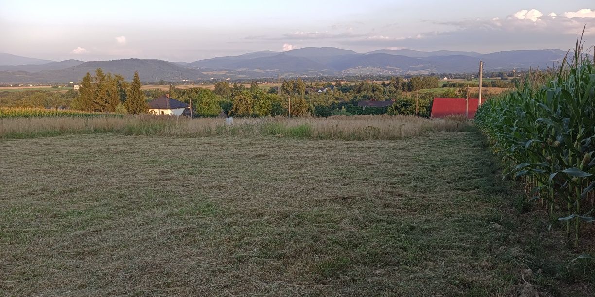 Działka budowlana Pietrzykowice. Zdjęcie 3