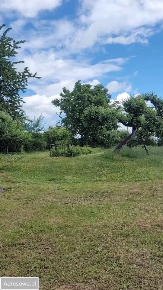 gospodarstwo Rudziczka. Zdjęcie 10