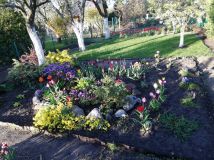 Działka rod Szczecin Pomorzany. Zdjęcie 2