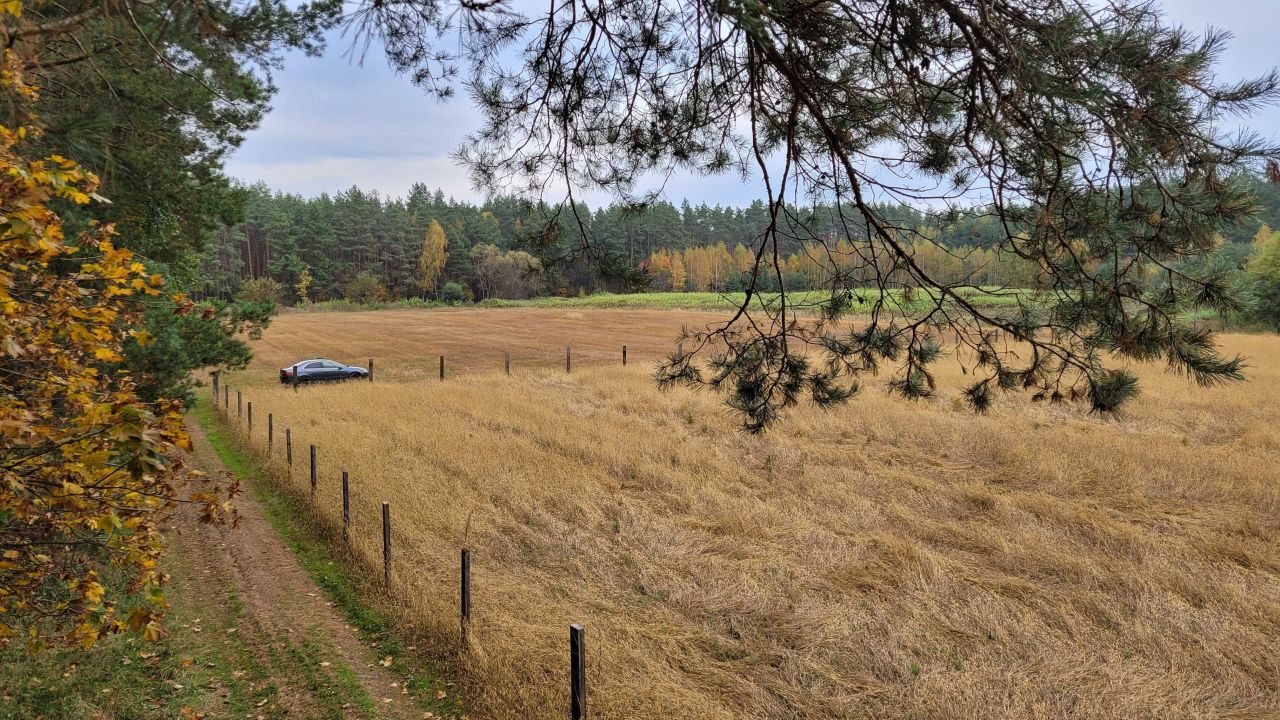 Działka budowlana Rodzone. Zdjęcie 2