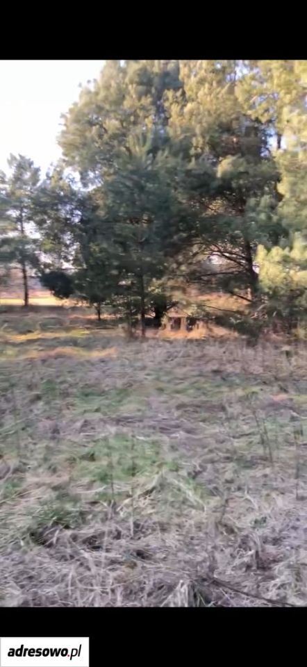 Działka rolno-budowlana Lubnów, ul. Szkolna. Zdjęcie 4