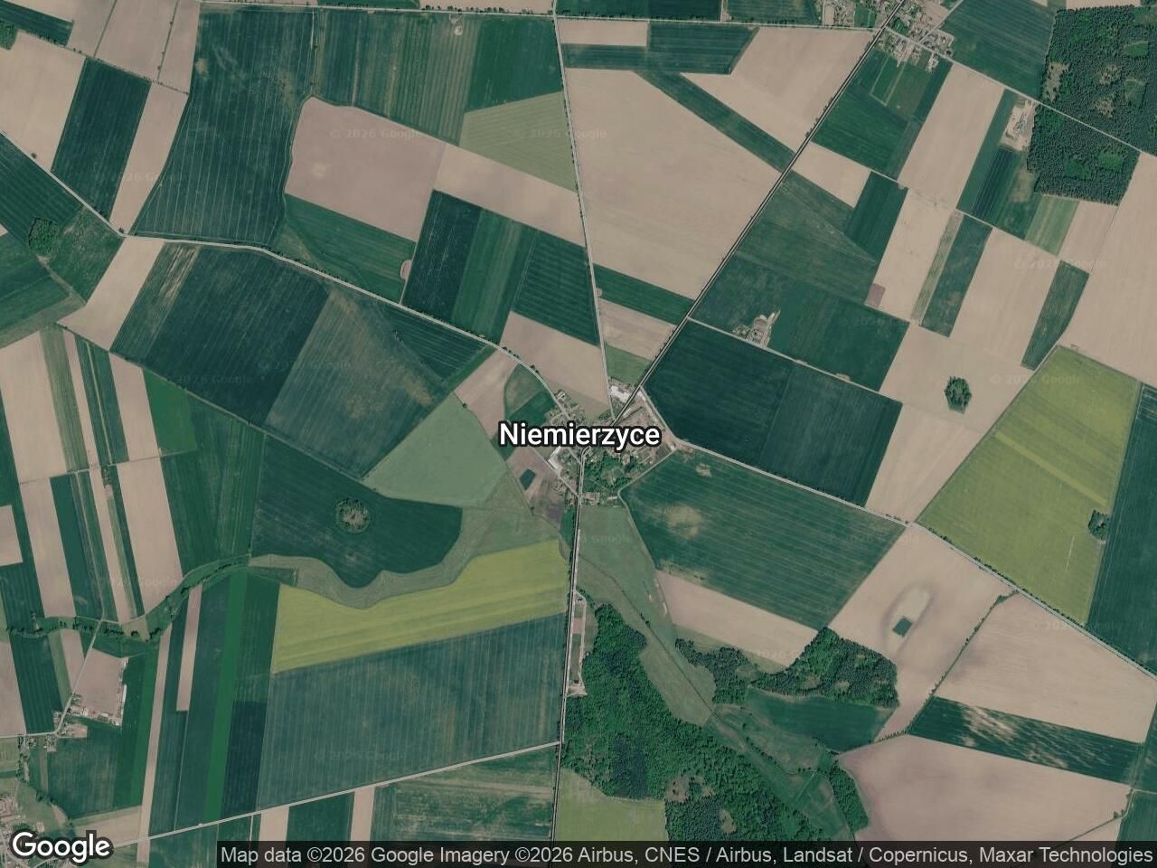Działka rolno-budowlana Niemierzyce, Strzepiń 19. Zdjęcie 1