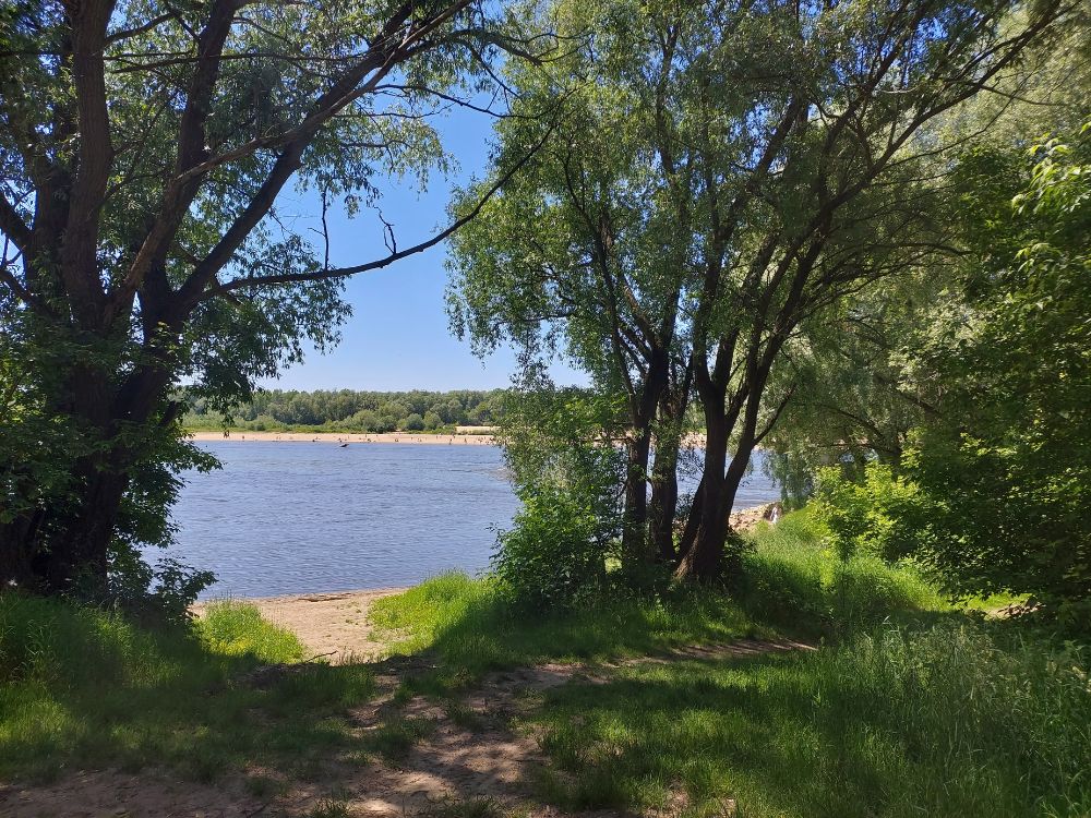 Działka rod Warszawa Wawer, ul. Wał Miedzeszyński. Zdjęcie 5