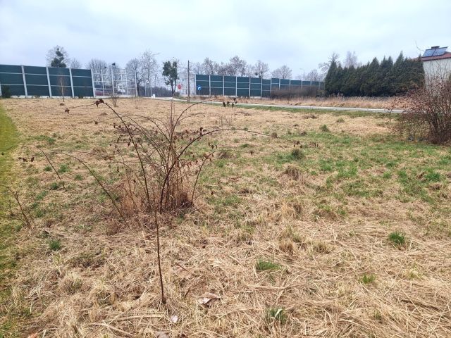 Działka budowlana Warszowice, ul. Kościelna. Zdjęcie 1