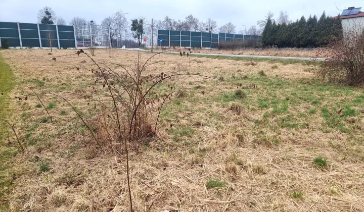 Działka budowlana Warszowice, ul. Kościelna