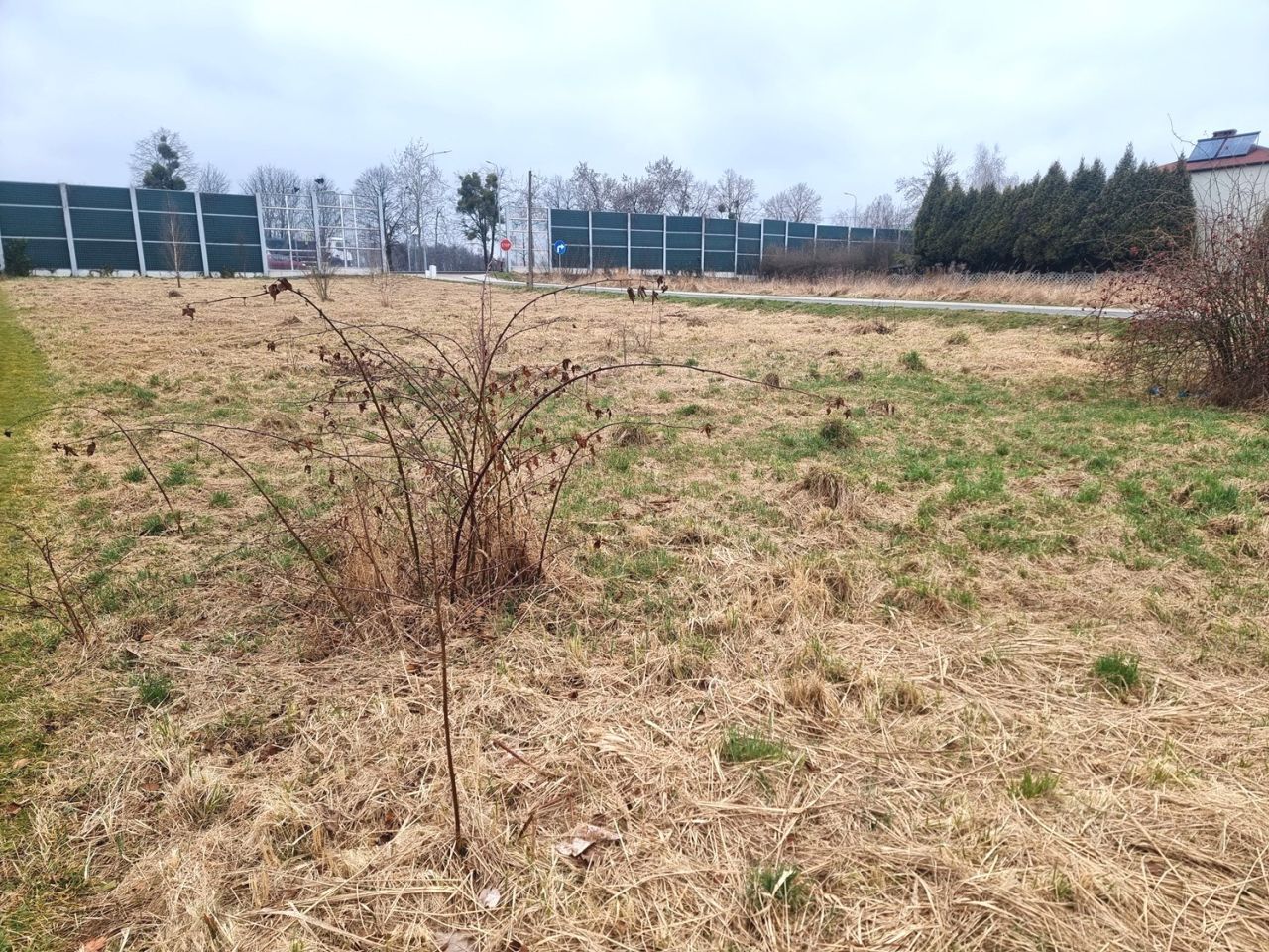 Działka budowlana Warszowice, ul. Kościelna. Zdjęcie 1