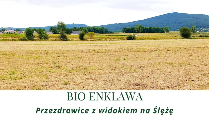 Działka siedliskowa Przezdrowice, bez