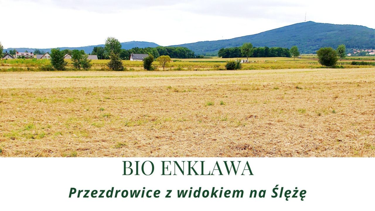 Działka siedliskowa Przezdrowice, bez. Zdjęcie 1