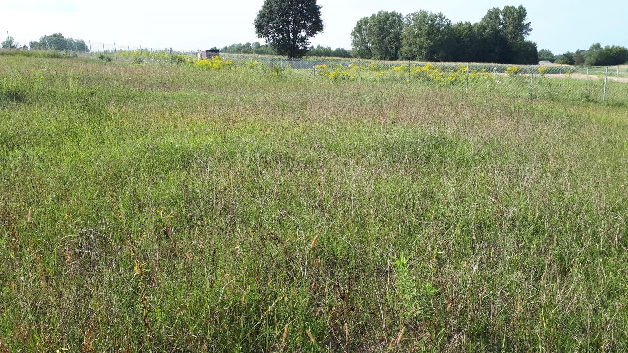 Działka budowlana Rzymiec. Zdjęcie 9