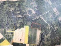 Działka leśna Rękawczyn. Zdjęcie 1