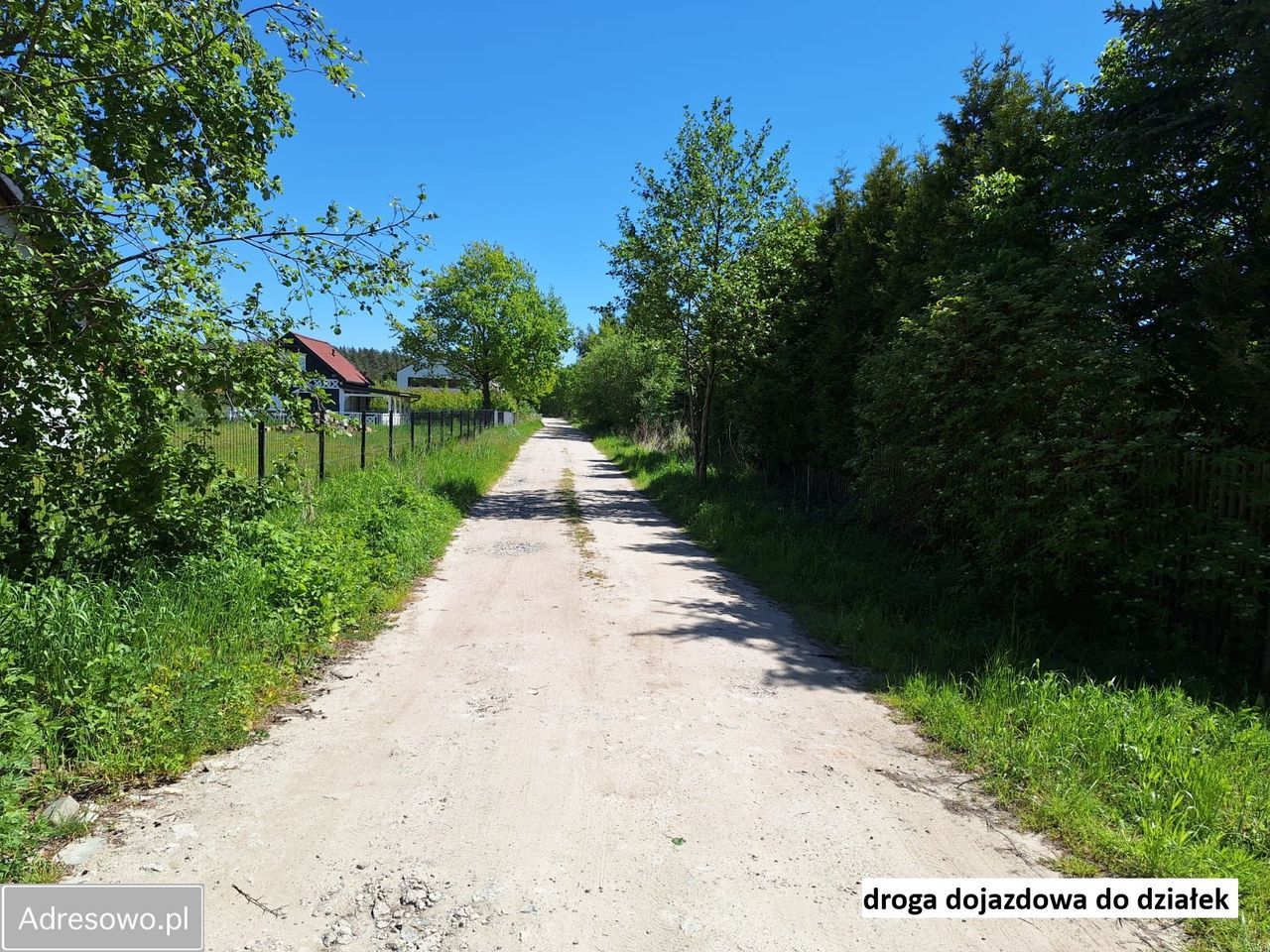 Działka budowlana Grzybowo. Zdjęcie 7