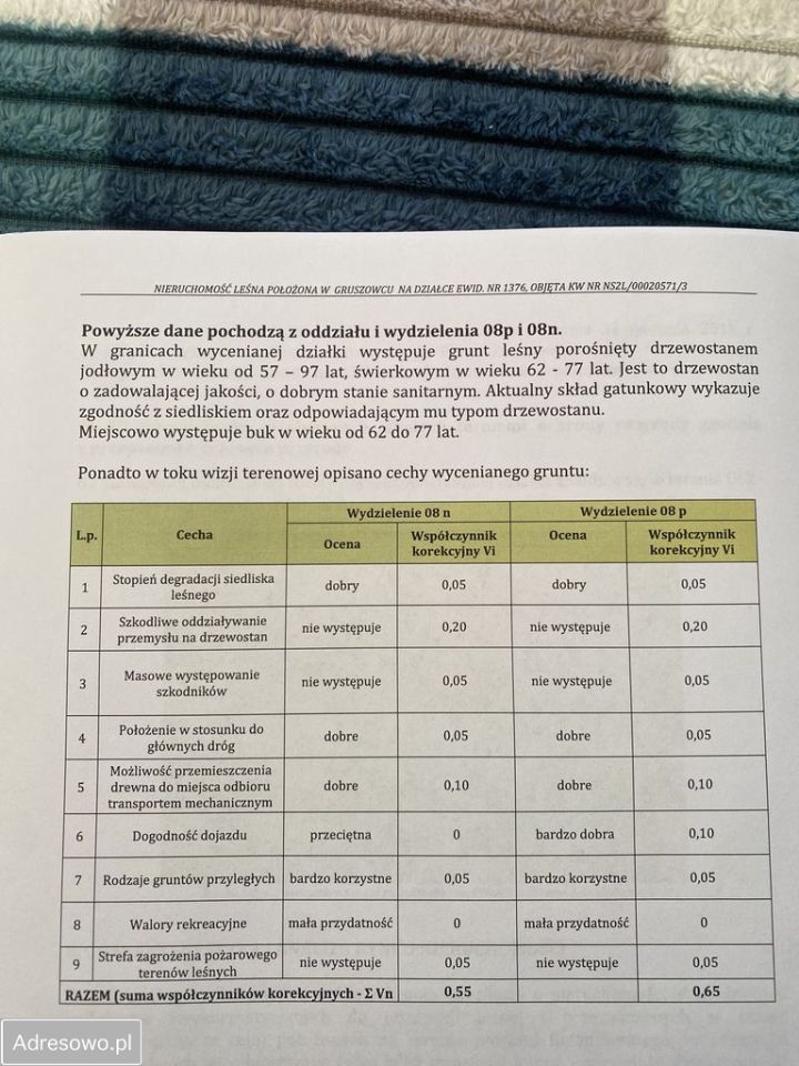 Działka leśna Gruszowiec. Zdjęcie 7