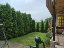 Działka rod Poznań, ul. Złotowska. Zdjęcie 1