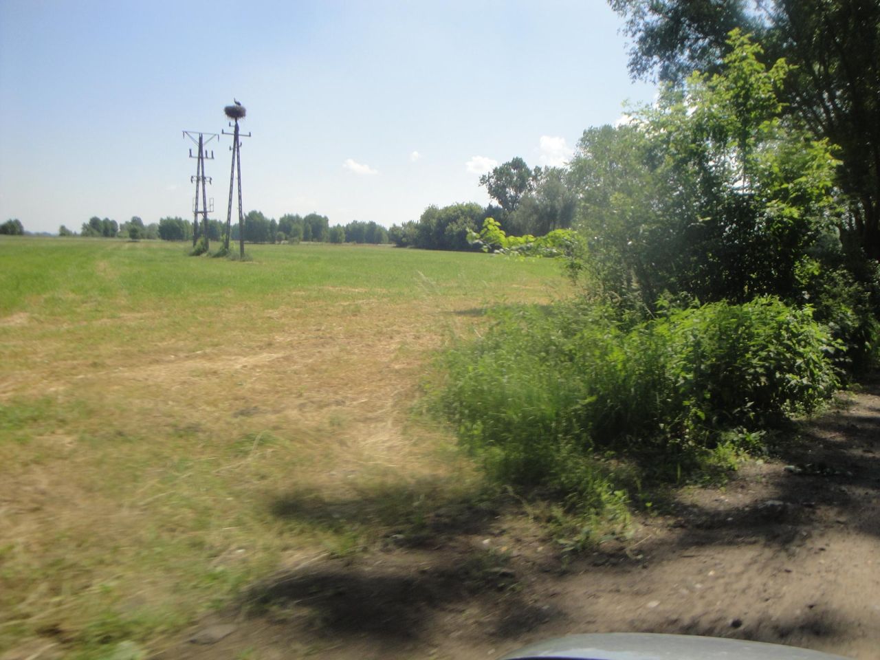 Działka rolno-budowlana Baranów, ul. Brzozowa. Zdjęcie 6