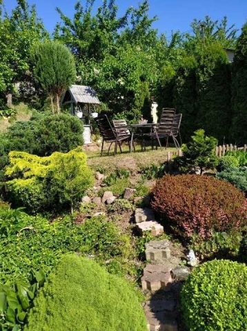 Działka rod Szczecin Golęcino, ul. Grochowa. Zdjęcie 1