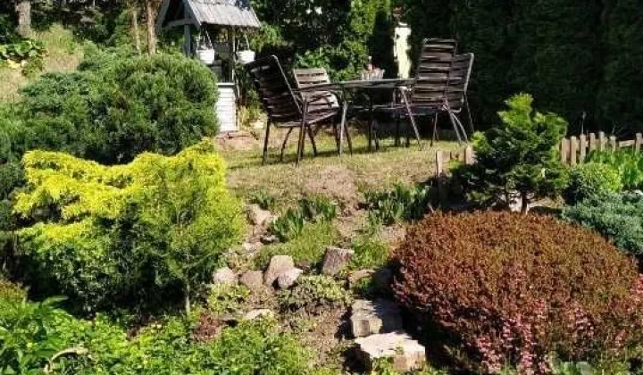 Działka rod Szczecin Golęcino, ul. Grochowa