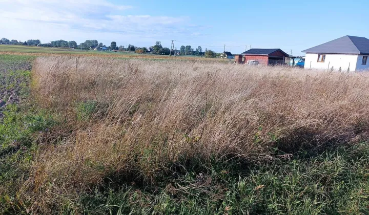 Działka budowlana Wąpielsk