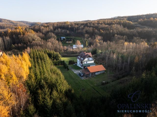 dom wolnostojący, 7 pokoi Hucisko Jawornickie. Zdjęcie 25