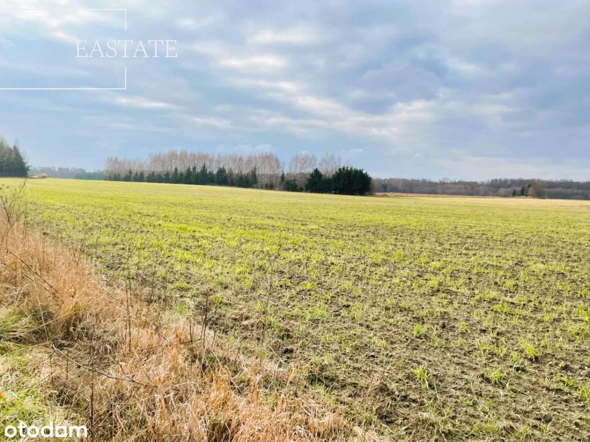 Działka inwestycyjna Harsz. Zdjęcie 4