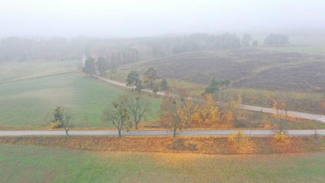 Działka rolna Dziubiele. Zdjęcie 8