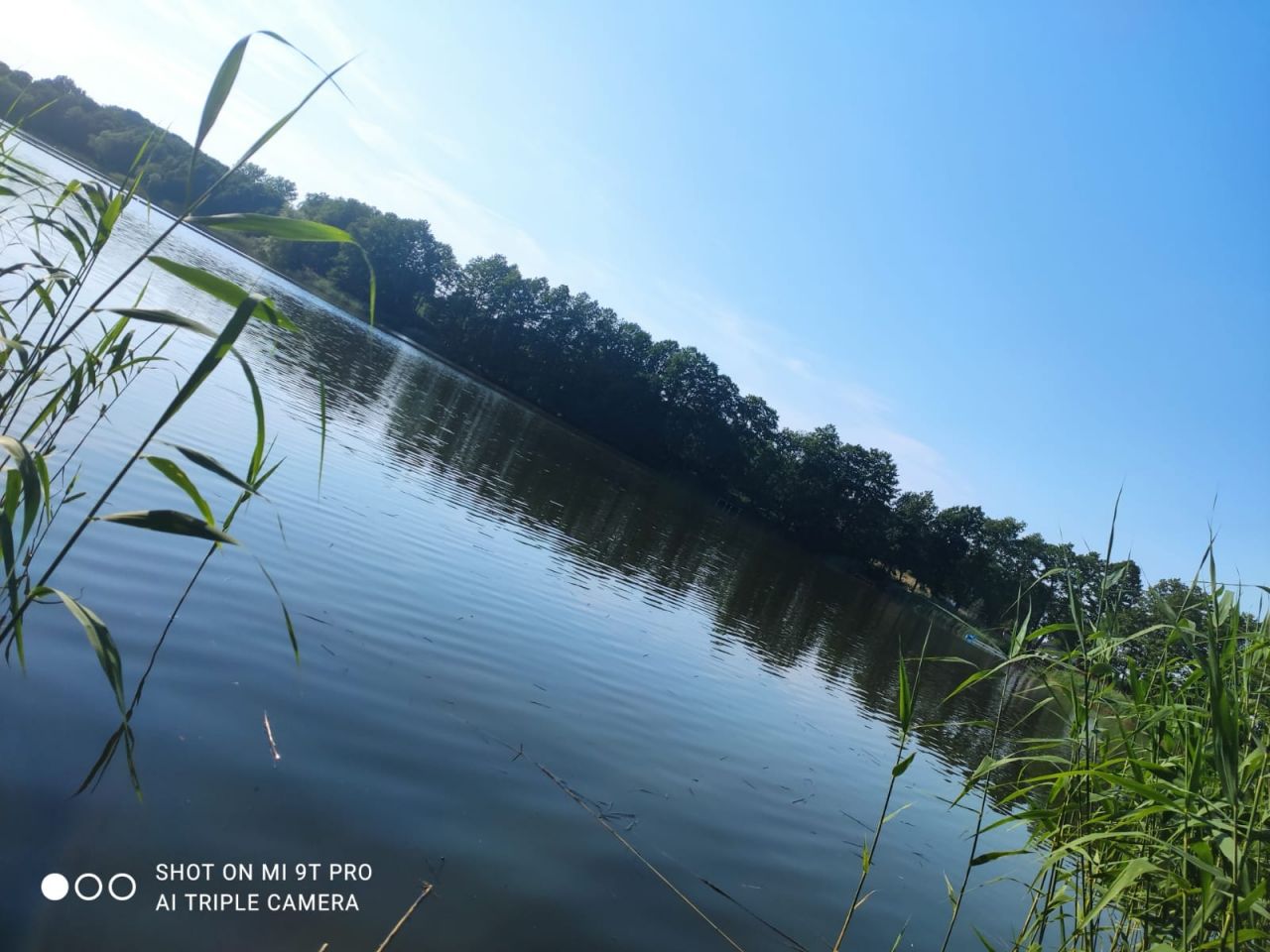 Działka rolno-budowlana Rydzewo. Zdjęcie 2