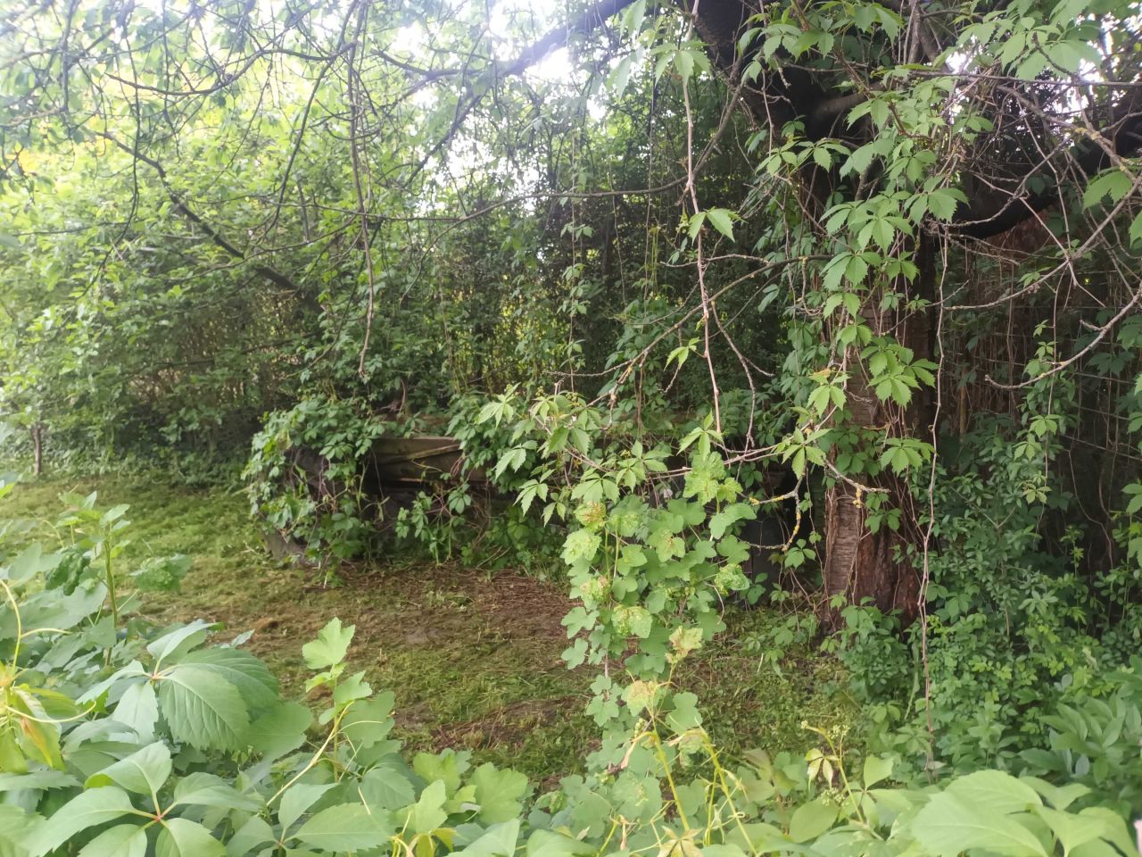 Działka rod Warszawa Mokotów. Zdjęcie 8