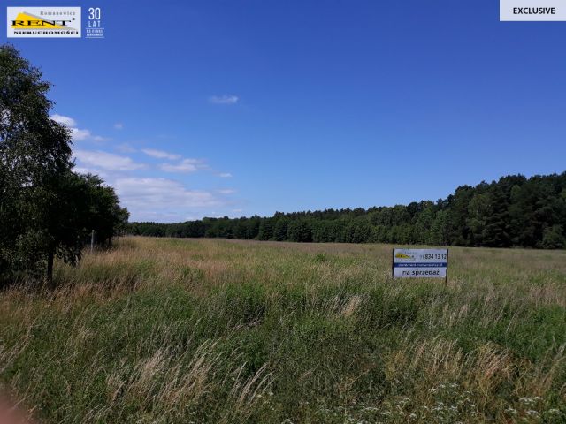 Działka inwestycyjna Chociwel. Zdjęcie 6