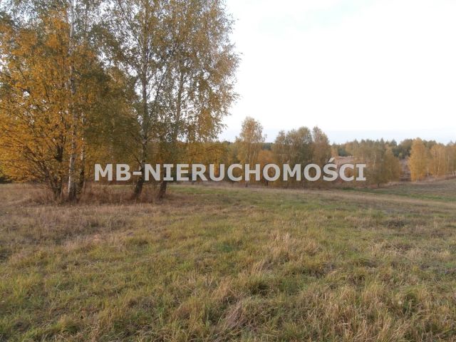 Działka rolno-budowlana Silice. Zdjęcie 7