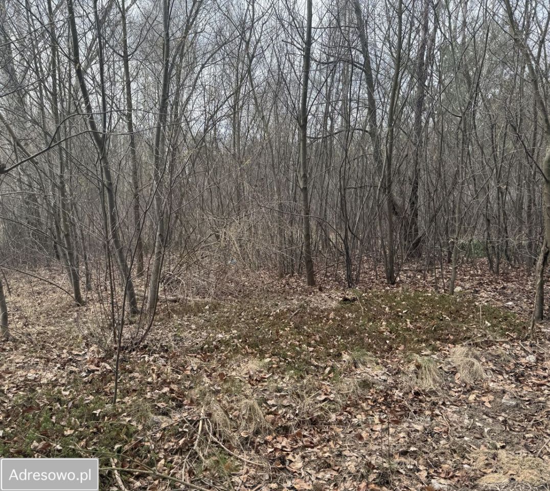 Działka rolno-budowlana Ślężany, ul. Lipowa. Zdjęcie 6