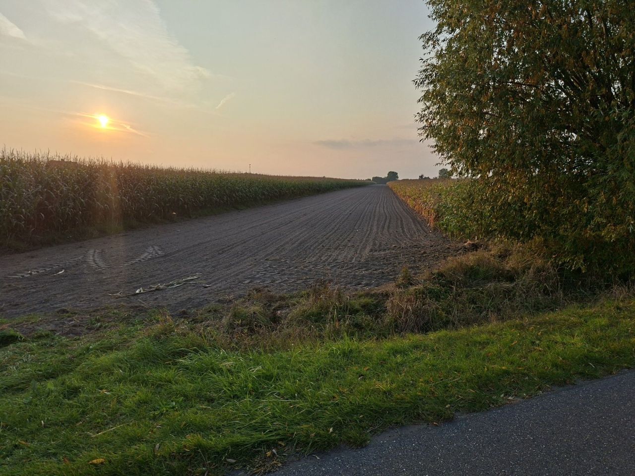 Działka rolna Brudzew. Zdjęcie 2