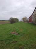 dom wolnostojący, 4 pokoje Święck Wielki. Zdjęcie 4